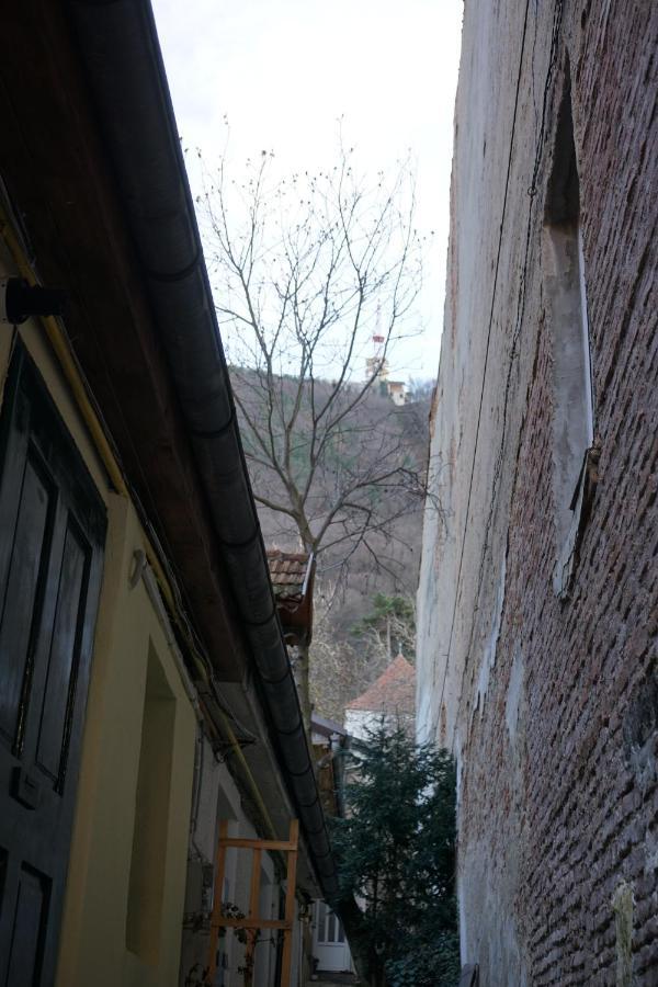 Ferienwohnung Crown Of Karolina Brașov Exterior foto
